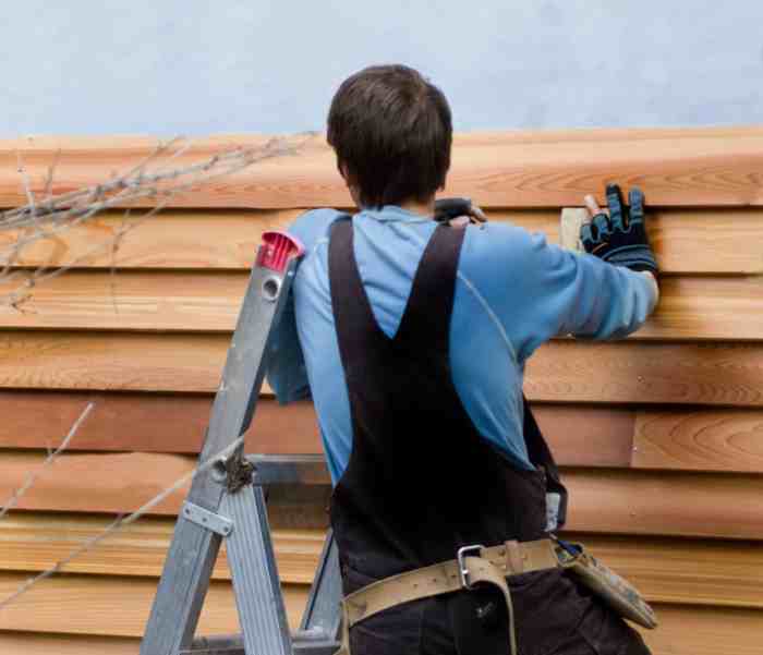 Cedar siding repair cost