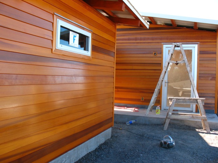 Cedar siding repair and painting near me
