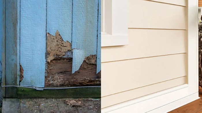Termite damage signs foundation termites